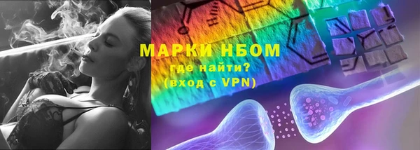 сатива Аркадак