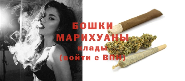 сатива Аркадак