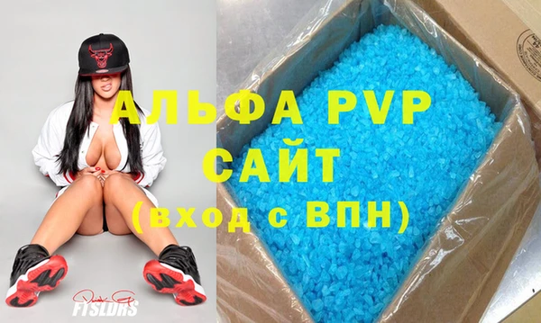 сатива Аркадак