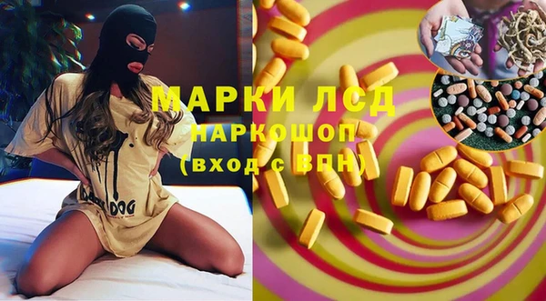 сатива Аркадак