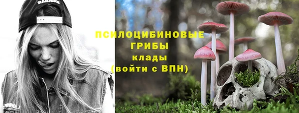 бошки Арсеньев