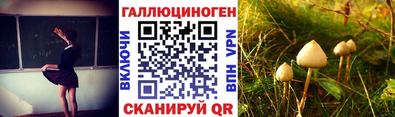 Псилоцибиновые грибы Psilocybe  кракен как зайти  Лахденпохья  закладка 